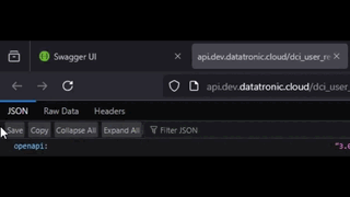 Download the json